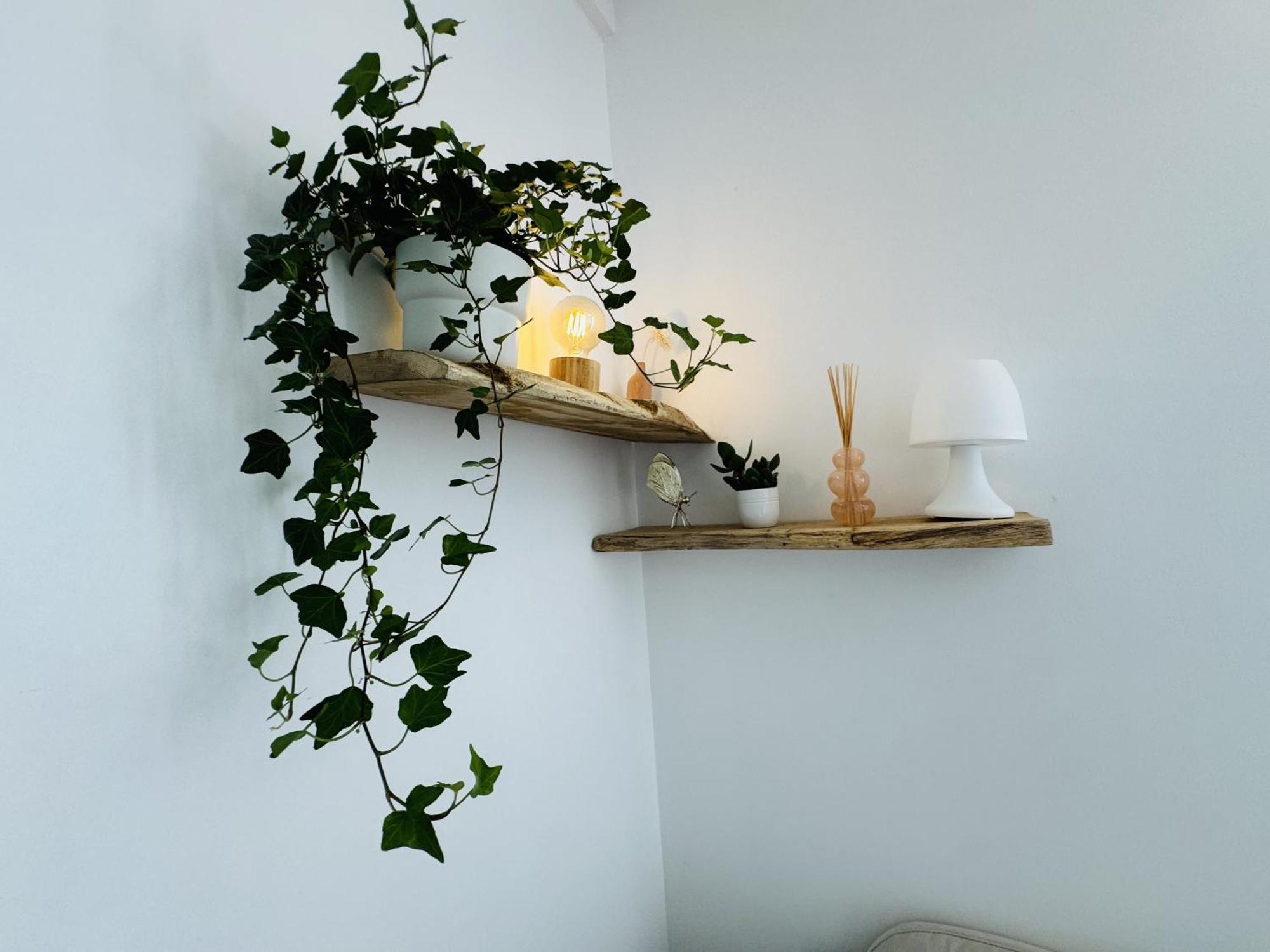 בגלס Le Piccolo - Appartement Cosy - Wifi מראה חיצוני תמונה